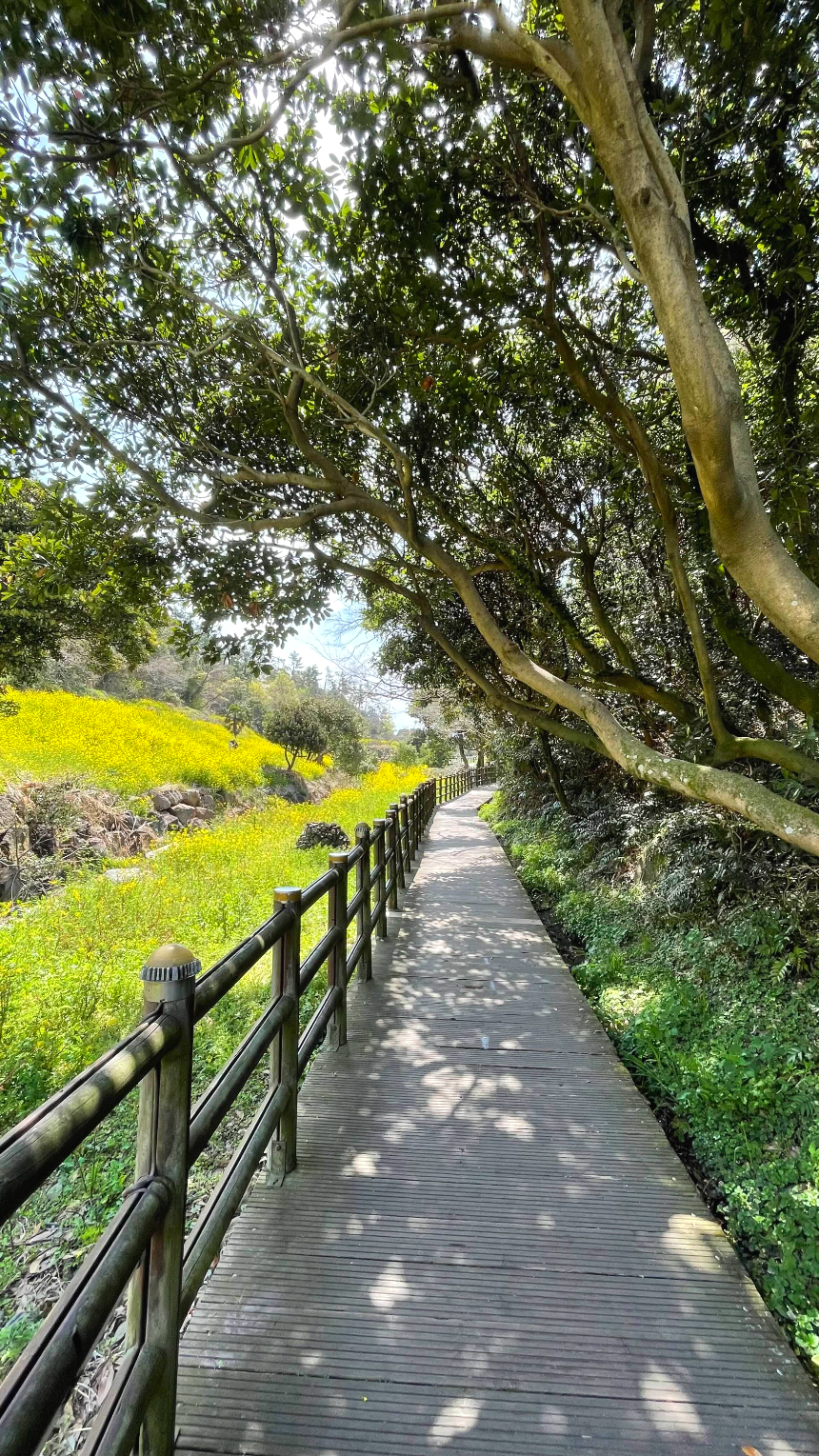 중문 미라지 내려가는 길4