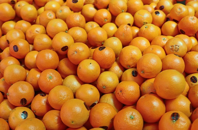 비타민이 피부에도 좋다면?