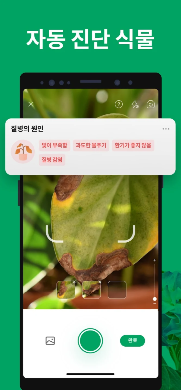 식물이름 찾기 어플, 식물 검색하고 찾기