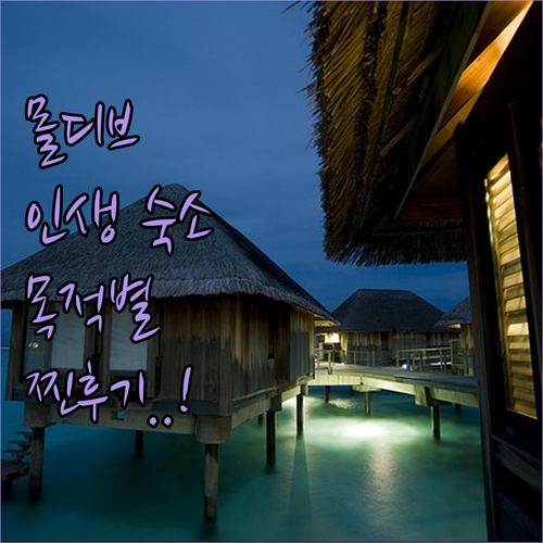 몰디브 여행 목적별 베스트 리조트 특..