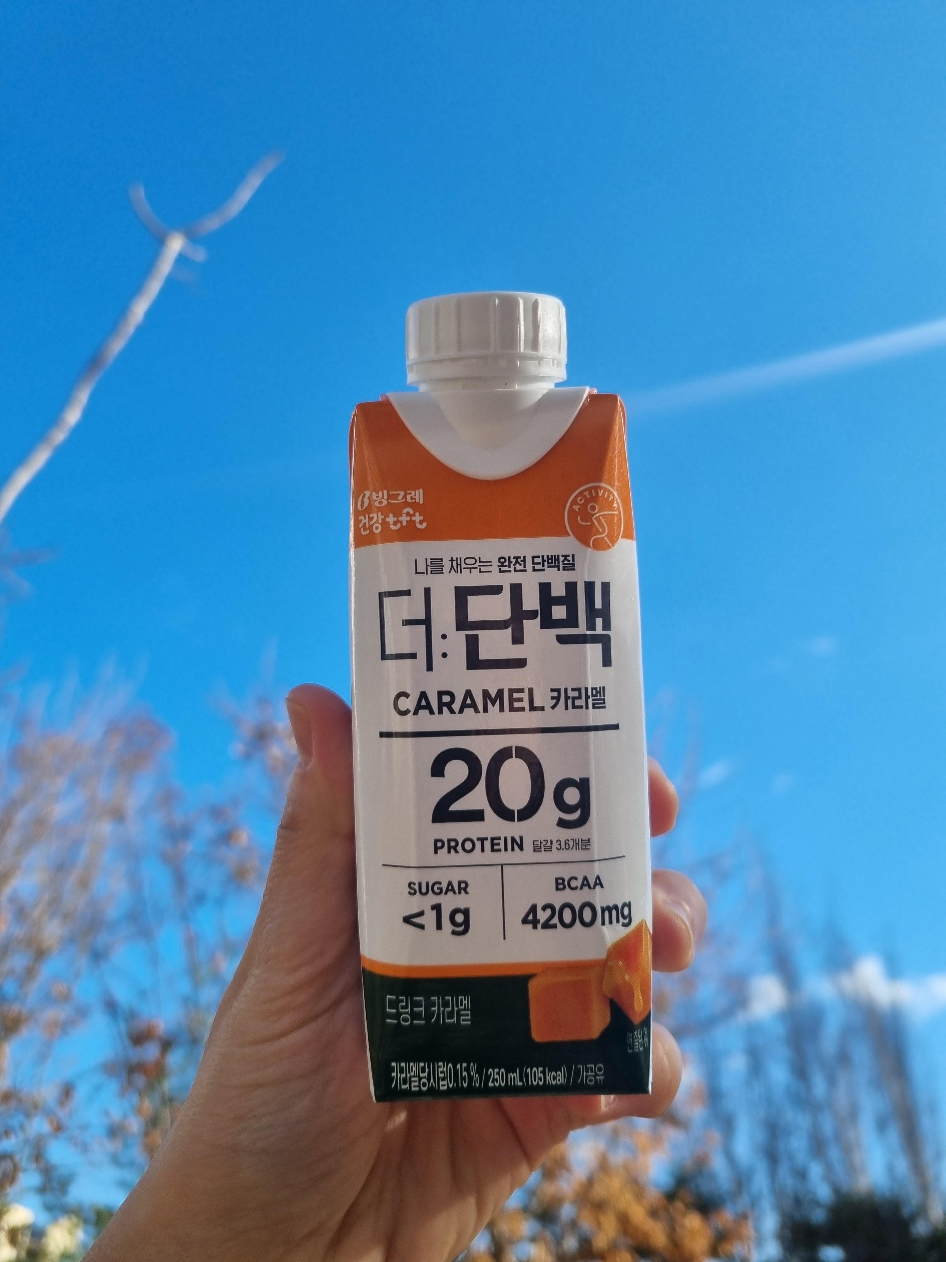 빙그레 더단백 카라멜