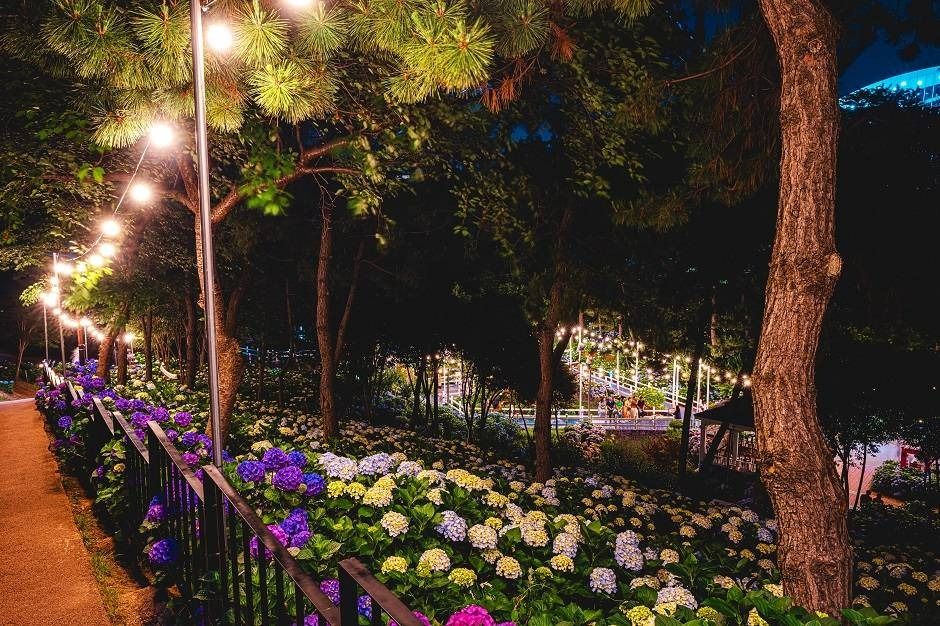 울산 수국축제