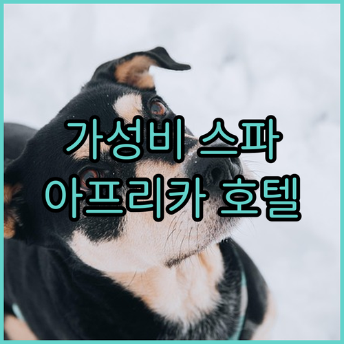 아프리카No.1 호텔? 유니슨 호텔 ..