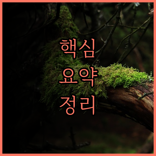 Dormy Inn Premium Sh