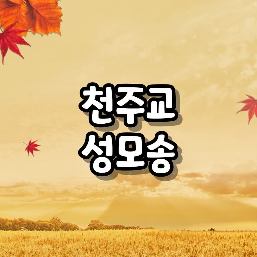 천주교 성모송 기도문
