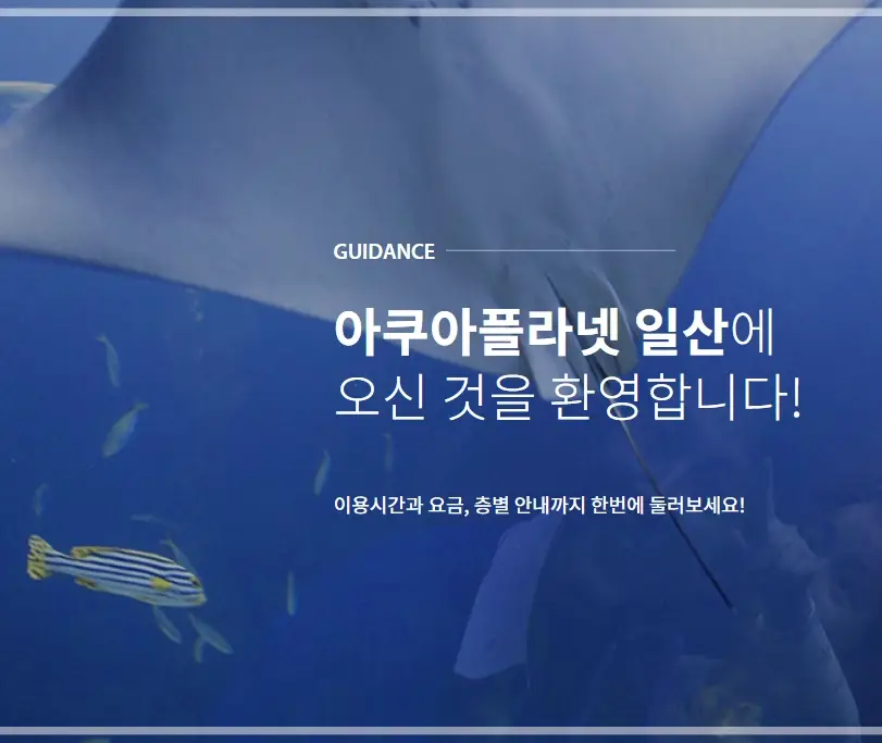 일산-아쿠아플라넷-할인-입장료-가격-운영시간