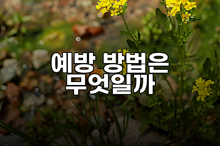 예방 방법은 무엇일까