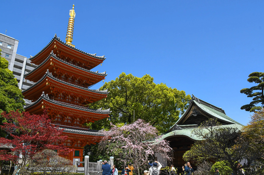 후쿠오카 여행 꿀팁