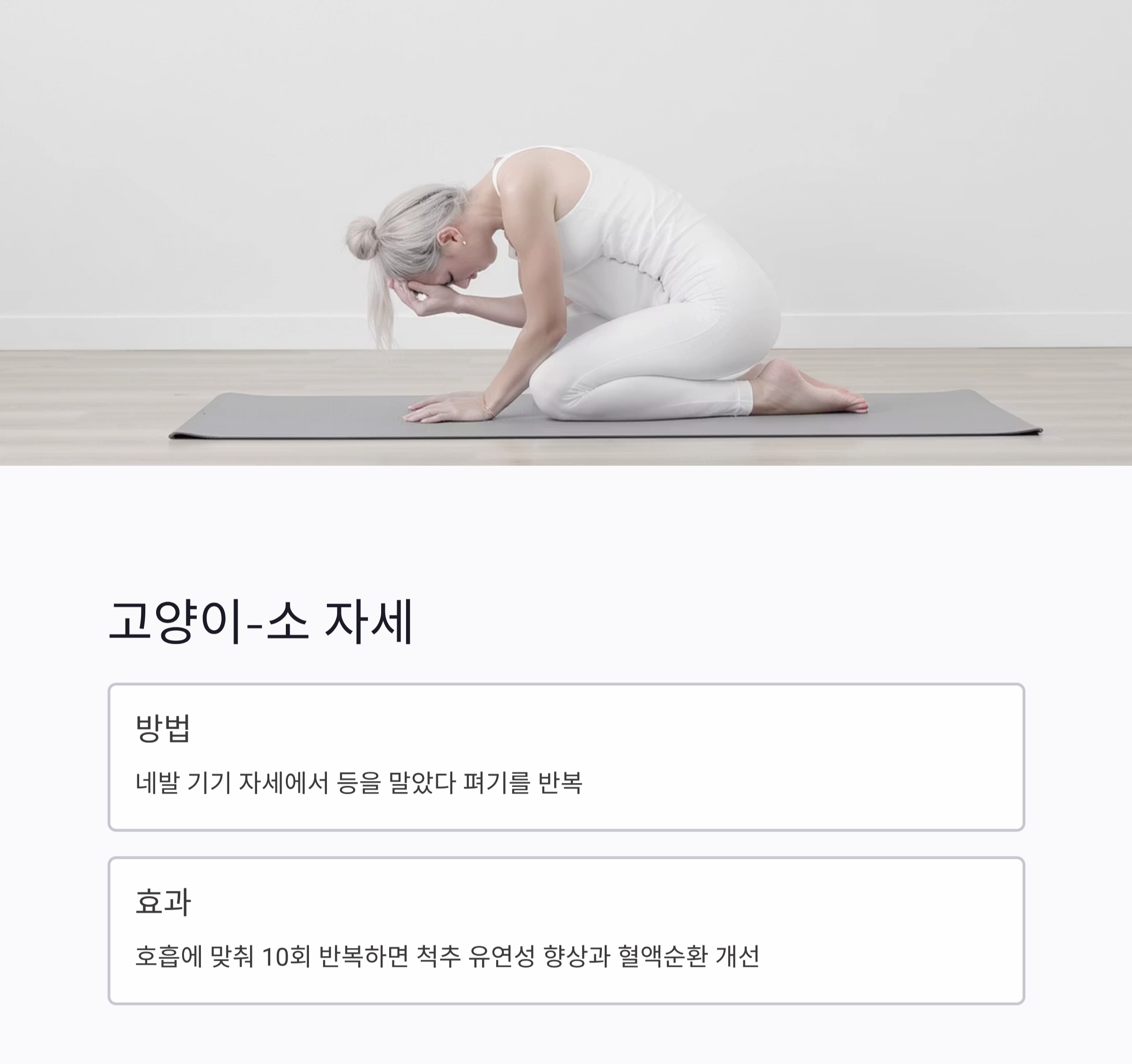 허리 통증 완화에 탁월한 스트레칭과 운동법 모음