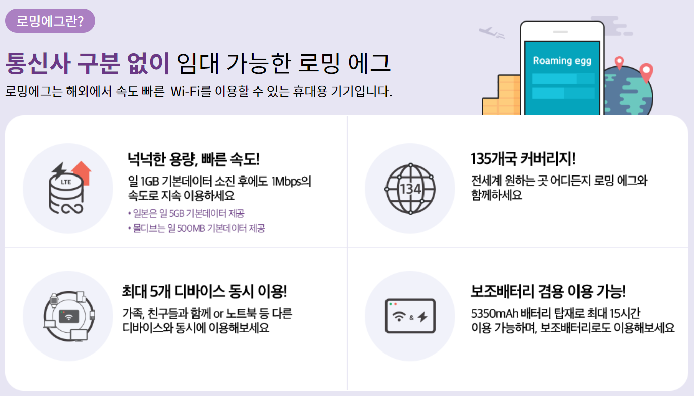KT로밍에그