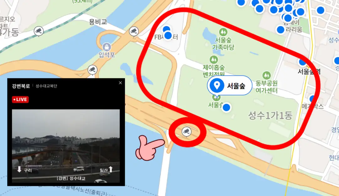 서울벚꽃길명소-서울숲-CCTV