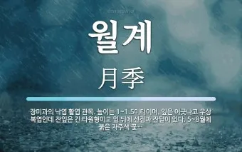 자부 뜻과 며느리 호칭 자부상 손부 사위 상주 관계 설명_9