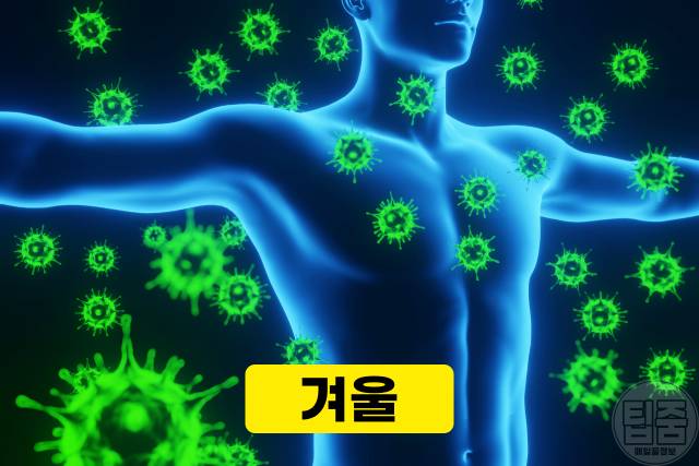 겨울 면역력 저하,독감 감기 바이러스