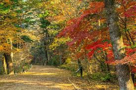 평창 가을 단풍 여행 명소