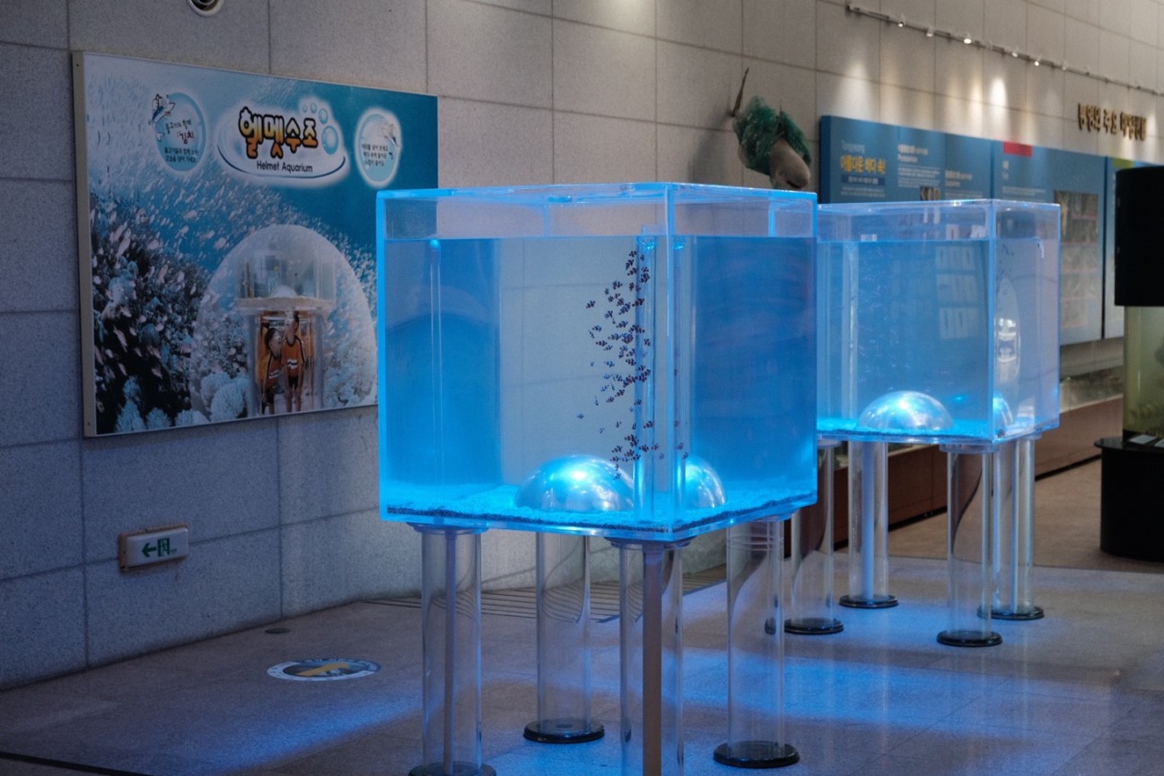 통영수산과학관