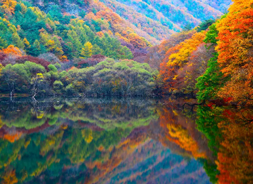 주산지