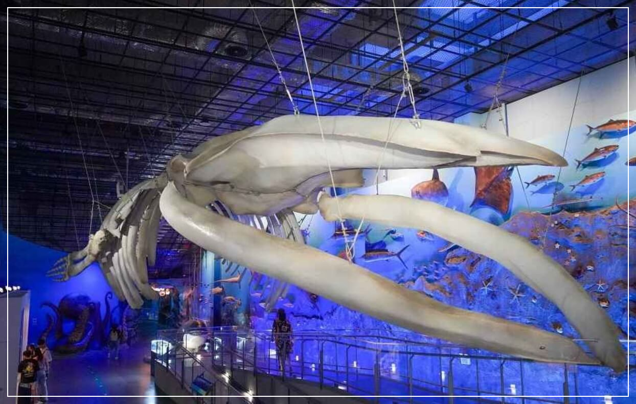 해남 가볼만한곳 베스트10 땅끝해양자연사박물관