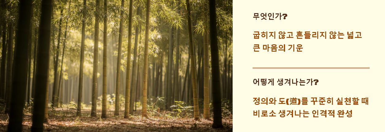 호연지기 뜻