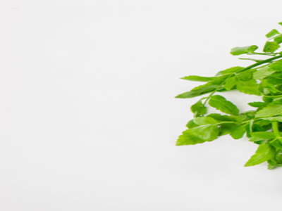 봄나물_미나리1