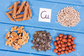 비타민과 미네랄의 중요성