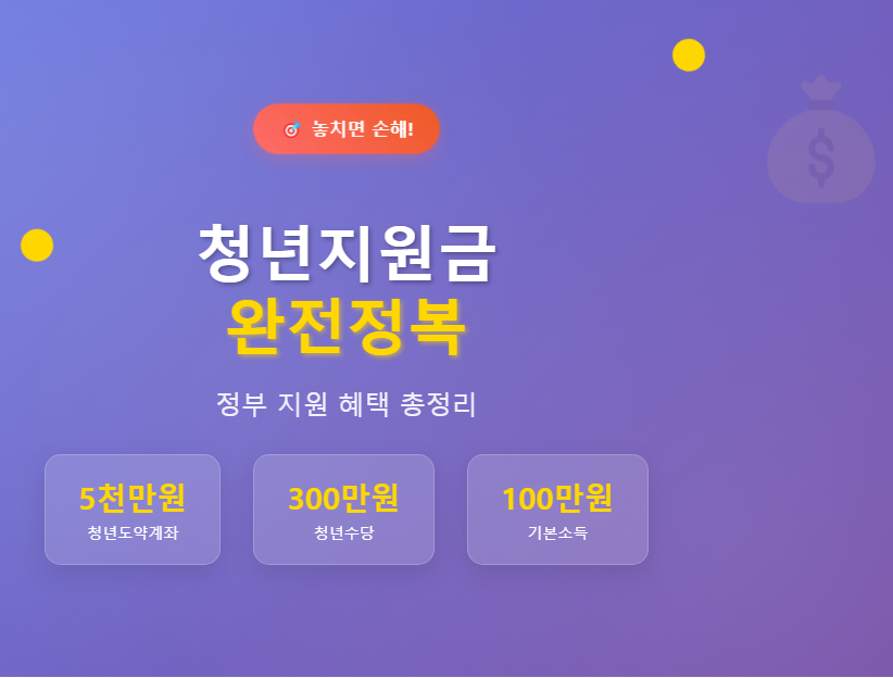 청년지원금