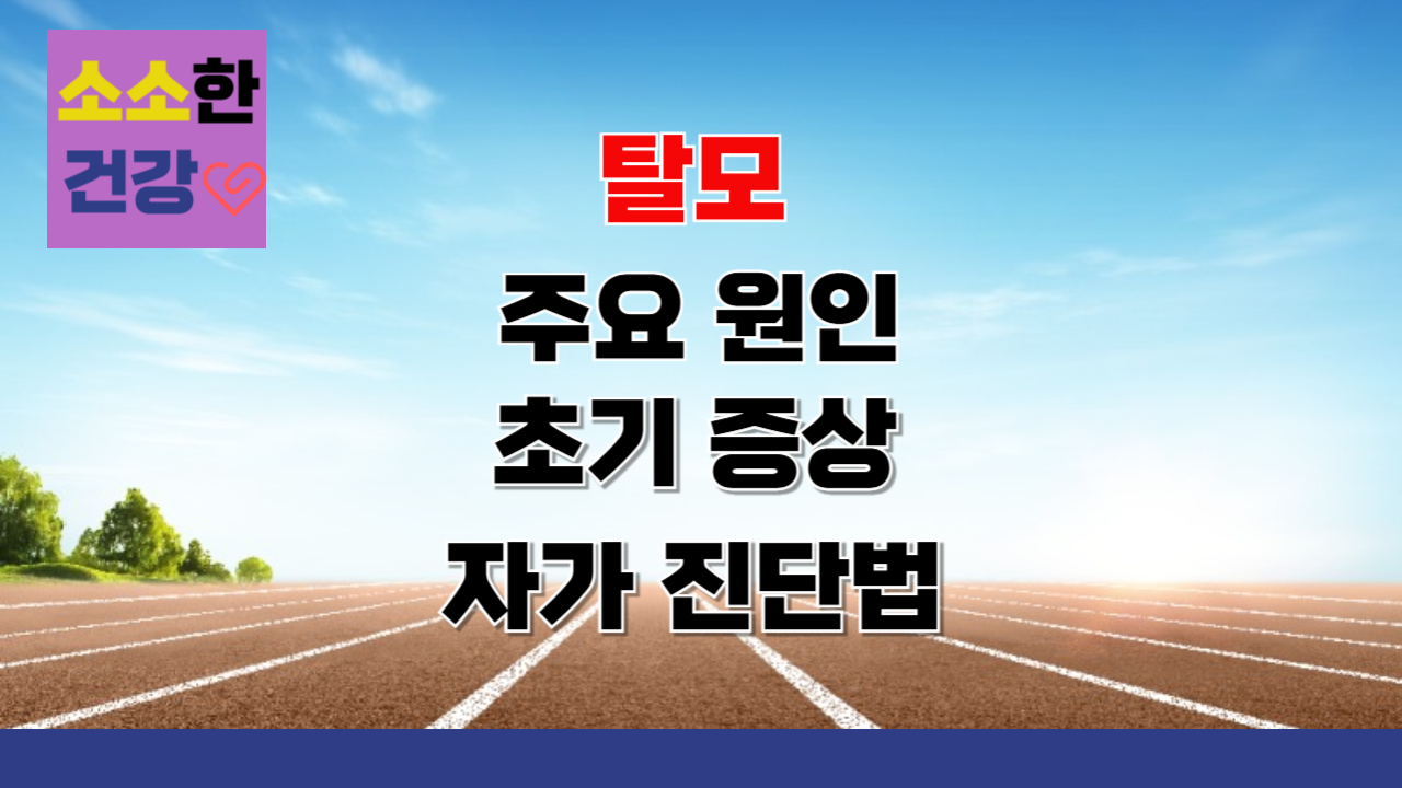 탈모의 주요 원인과 초기 증상, 자가 진단법
