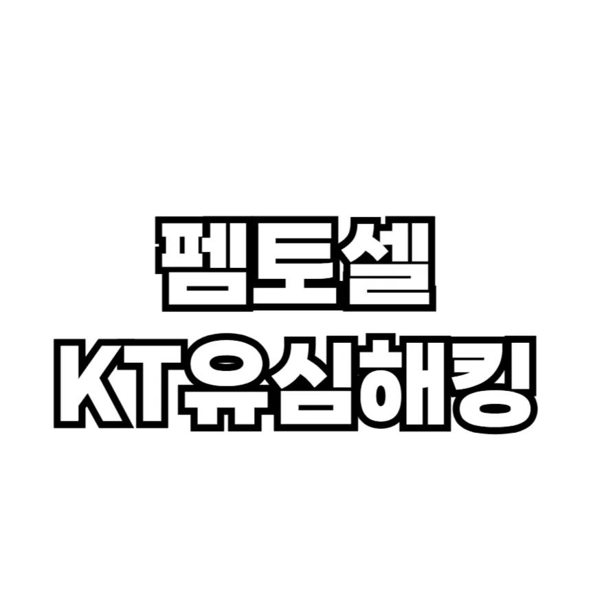펨토셀 뜻 KT유심 정보 해킹 사태