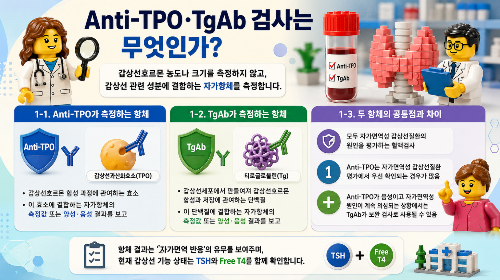 Anti-TPO와 TgAb 검사의 측정 대상, 공통점과 차이를 레고 스타일 메디컬 인포그래픽으로 정리한 이미지
