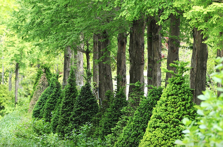 고성 그레이스 정원