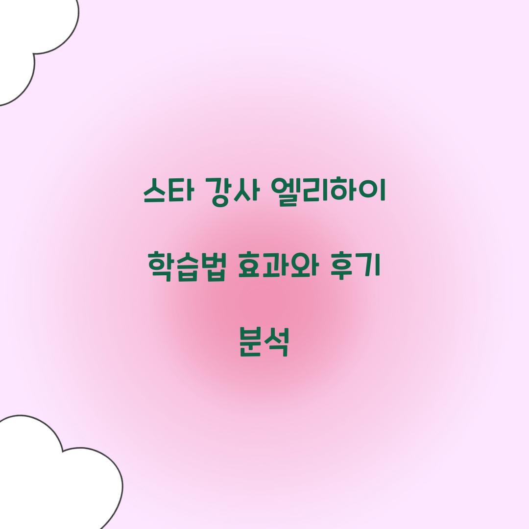스타 강사 엘리하이 학습법