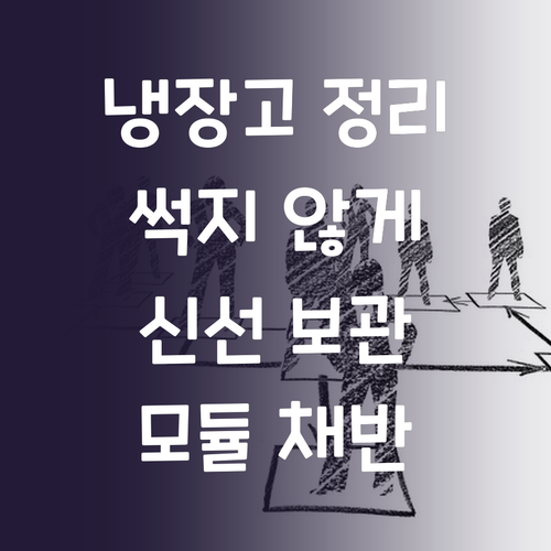 냉장고 속 식재료, 이젠 썩혀 버리지..