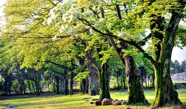 광양 가볼만한곳 베스트10