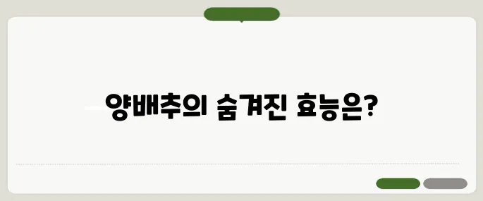 양배추 양배추즙 효능과 먹는법