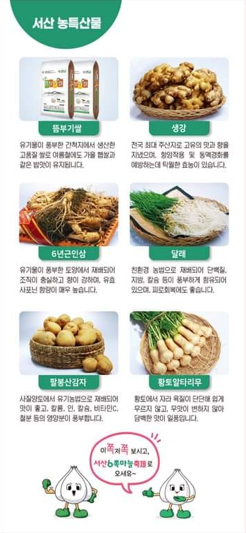 제 15회 서산6쪽마늘축제 서산 농특산물
