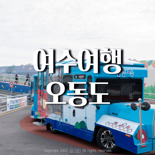 여수여행-오동도