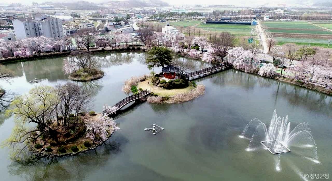 둘레길을 따라 수양벚꽃이 터널처럼 드리운 연지못 산책로. [ⓒ한국관광 콘텐츠랩]