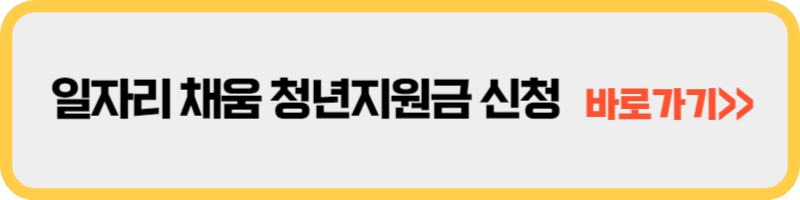 일자리 채움 청년지원금
