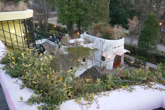 풀 뒤로 흰색 건물이 보인다