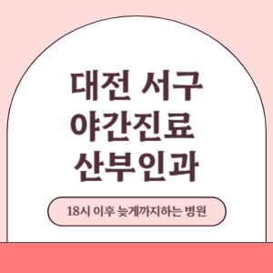 대전 서구 야간진료 늦게까지 진료 하는 산부인과 병원 (18시 이후 지금 진료 중인 병원)