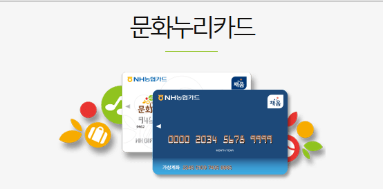 2024 문화누리카드 사용처 잔액조회 온라인 가맹점