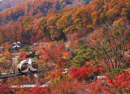 &amp;#39;화담숲&amp;#39;-단풍축제-모노레일