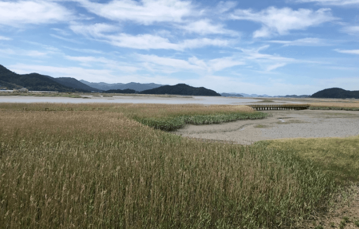 강진 가볼만한곳 베스트10