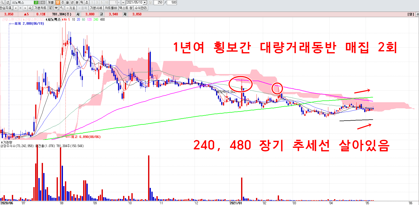 시노펙스일봉차트