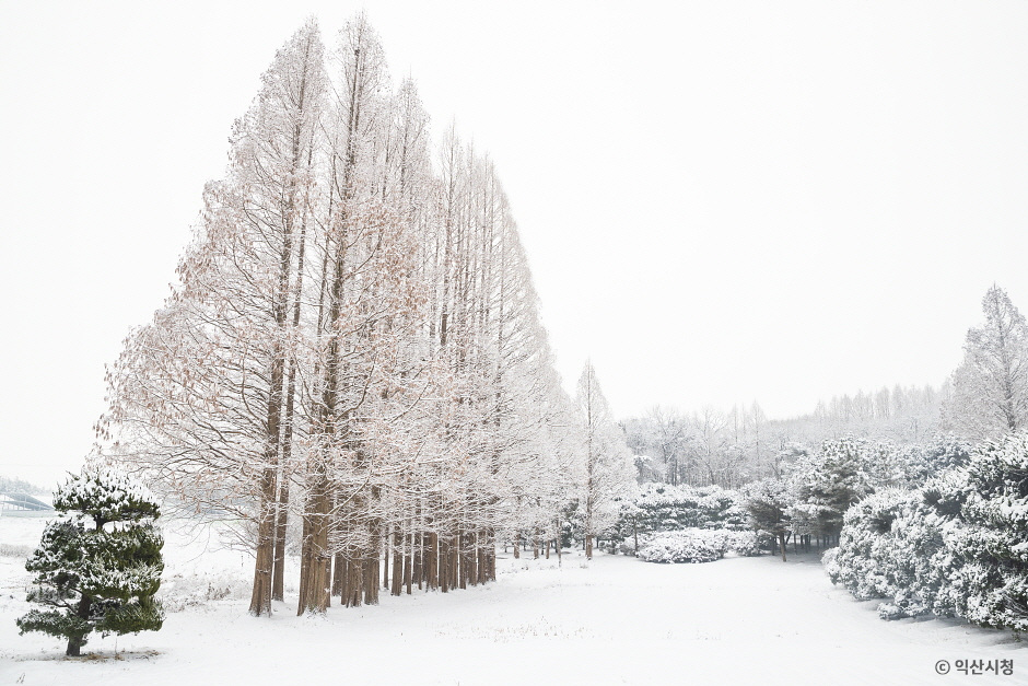 아가페정원 겨울 모습