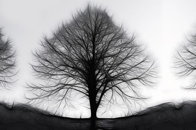 기술 회피가 아니라 기술 통제가 핵심이다