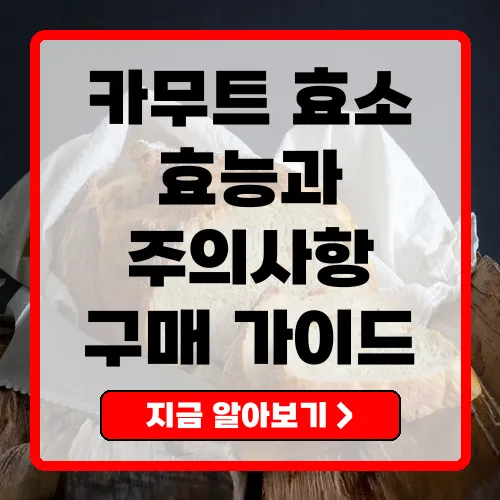 카무트효소의 효능 및 구매 가이드 완벽 분석