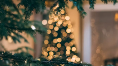 크리스마스 이미지