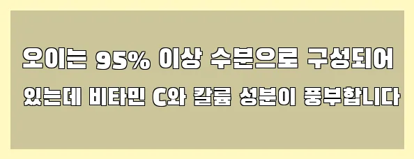  오이는 95% 이상 수분으로 구성되어 있는데 비타민 C와 칼륨 성분이 풍부합니다