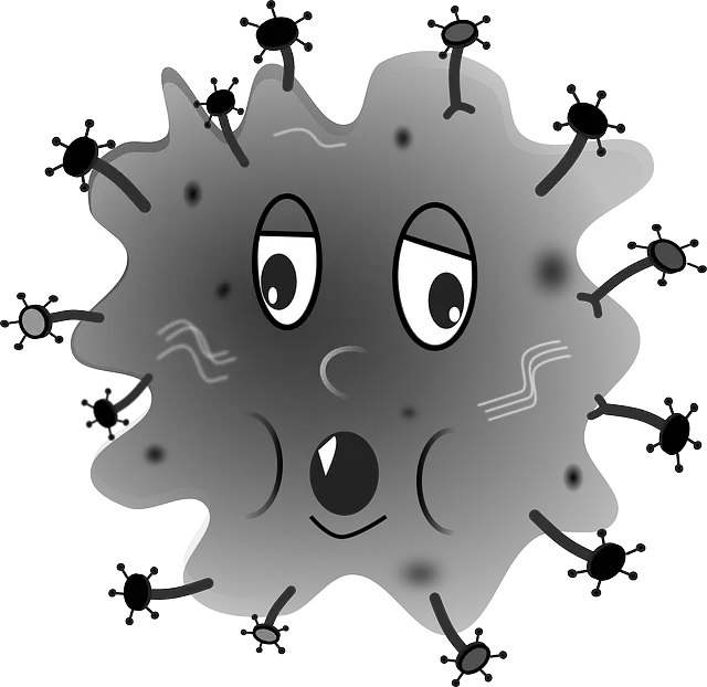 유행성 결막염 vs 알레르기 결막염