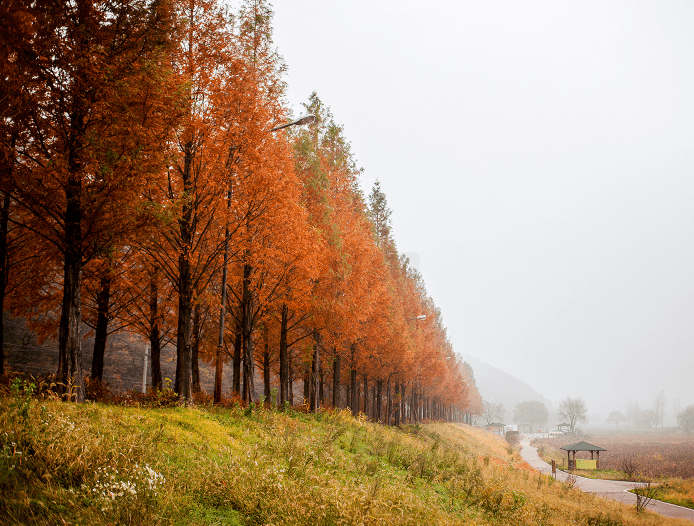 정안천생태공원